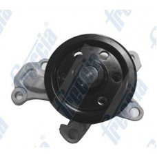 WP0298 FRECCIA Водяний насос охолодження двигуна
