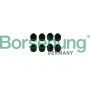 B19239 Borsehung Ущільнювальне кільце стержень клапана