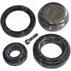 55861 AIC Комплект підшипника ступиці колеса