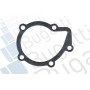 PA0071 BUGATTI Водяний насос охолодження двигуна