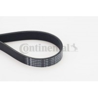 8PK1162 EXTRA CONTINENTAL CTAM Поліклиновий ремінь
