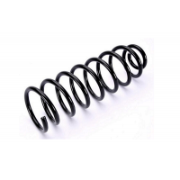 75990 ASAM Пружина ходової частини