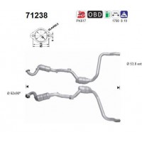 71238 AS Катализатор