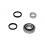 WBK-8516 KAVO PARTS Комплект підшипника ступиці колеса