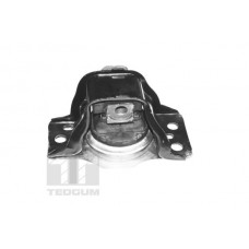 TED59889 TEDGUM Підвіска двигун