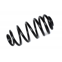 75889 ASAM Пружина ходової частини