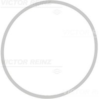 71-39409-00 VICTOR REINZ Прокладка впускного колектора