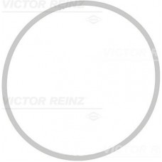 71-39409-00 VICTOR REINZ Прокладка впускного колектора