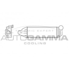 102402 AUTOGAMMA Интеркулер