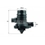 TM 36 103 MAHLE Термостат охолоджувальна рідина