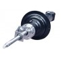 50080 WXQP Амортизатор