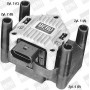 ZSE003 BorgWarner (BERU) Котушка запалювання