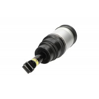 SAS-10020 KAVO PARTS Опора пневматичної ресори