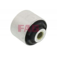 829 0388 10 FAG Підвіска важіль незалежної підвіски колеса