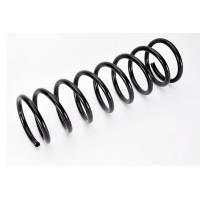 75891 ASAM Пружина ходової частини