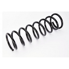 75891 ASAM Пружина ходової частини