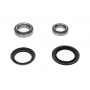 WBK-4541 KAVO PARTS Комплект підшипника ступиці колеса