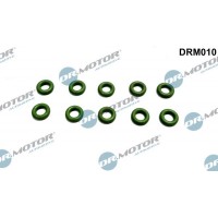 DRM010 Dr.Motor Automotive Прокладка, корпус форсунки