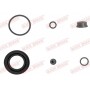 114-0019 QUICK BRAKE Ремкомплект, Гальмівний супорт