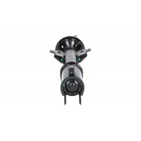 SSA-10218 KAVO PARTS Амортизатор