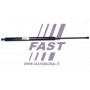 FT94828 FAST Газова пружина заднє скло