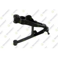 CD-119 TEKNOROT Ричаг незалежної підвіски колеса, подвеска колеса