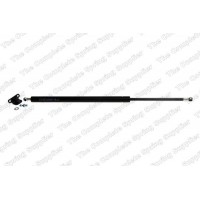 GS0789 ROC Газова пружина кришка багажника