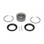 WBK-6504 KAVO PARTS Комплект підшипника ступиці колеса
