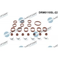 DRM0110SL-22 Dr.Motor Automotive Комплект прокладок впускний колектор