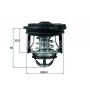 TI 246 50 MAHLE Термостат охолоджувальна рідина
