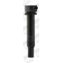 ZS481 BorgWarner (BERU) Котушка запалювання