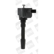 ZSE163 BorgWarner (BERU) Котушка запалювання