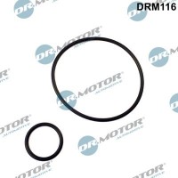 DRM116 Dr.Motor Automotive Комплект прокладок впускний колектор