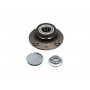WBK-10043 KAVO PARTS Комплект підшипника ступиці колеса