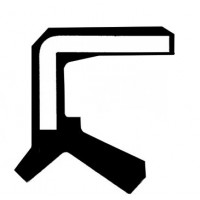 19017039B CORTECO Ущільнювальне кільце диференціал