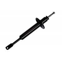70466 ASAM Амортизатор