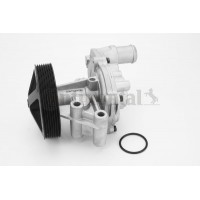 WPS3081 CONTINENTAL CTAM Водяний насос охолодження двигуна