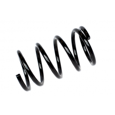 75432 ASAM Пружина ходової частини