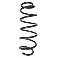 87562 SPIDAN Пружина ходової частини