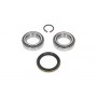 WBK-5502 KAVO PARTS Комплект підшипника ступиці колеса