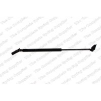 GS0794 ROC Газова пружина кришка багажника