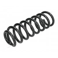 ZC6184A JAPANPARTS Пружина ходової частини