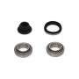 WBK-5511 KAVO PARTS Комплект підшипника ступиці колеса