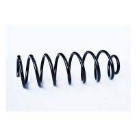 73762 ASAM Пружина ходової частини