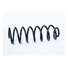 73762 ASAM Пружина ходової частини