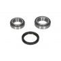 WBK-3501 KAVO PARTS Комплект підшипника ступиці колеса