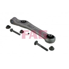 821 1154 10 FAG Ричаг незалежної підвіски колеса, подвеска колеса