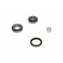 WBK-4007 KAVO PARTS Комплект підшипника ступиці колеса