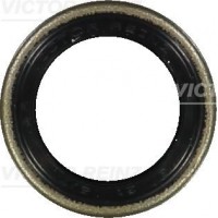 81-24010-00 VICTOR REINZ Ущільнювальне кільце розподільний вал