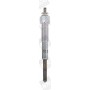 GN043 BorgWarner (BERU) Свічка розжарювання